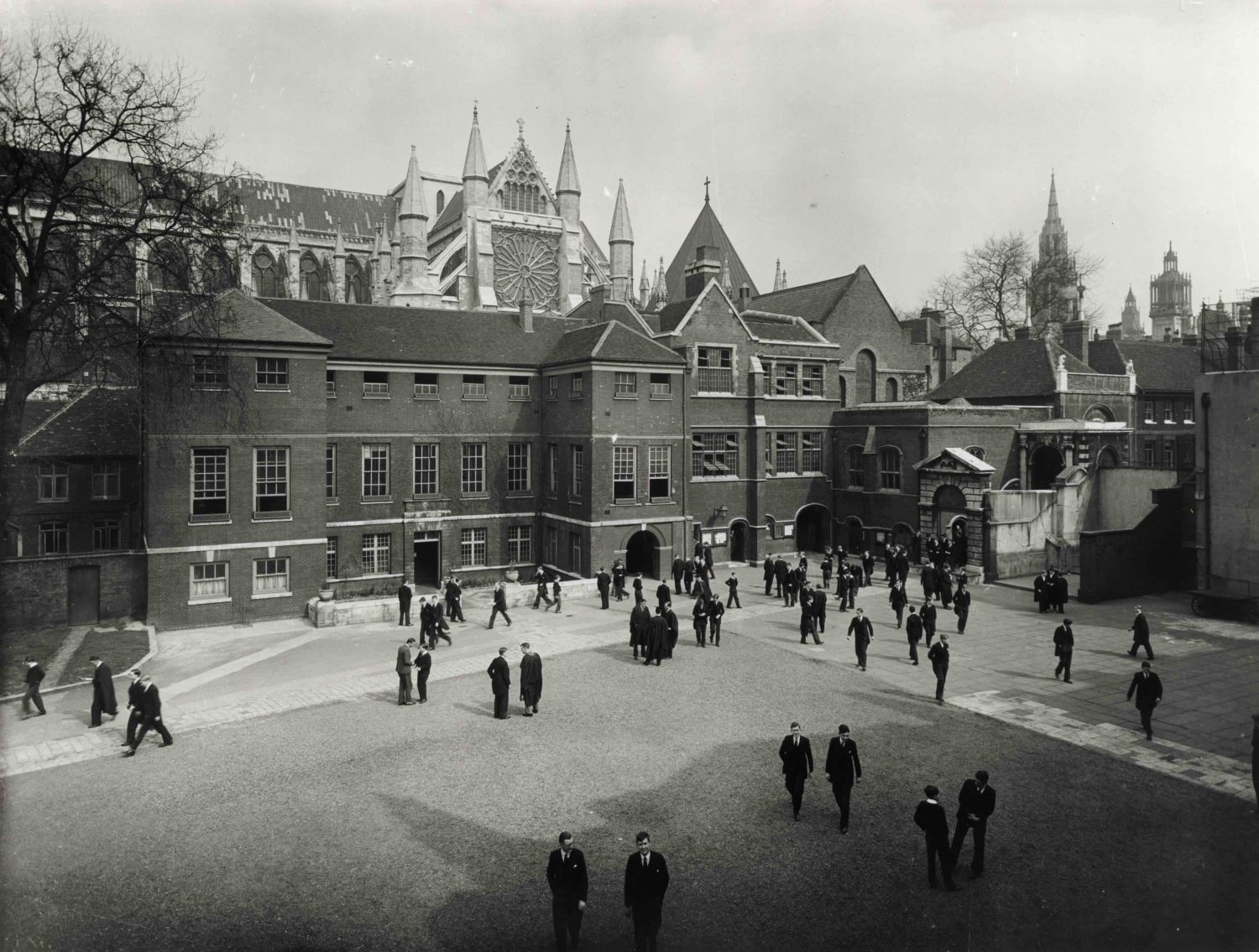 History of the School