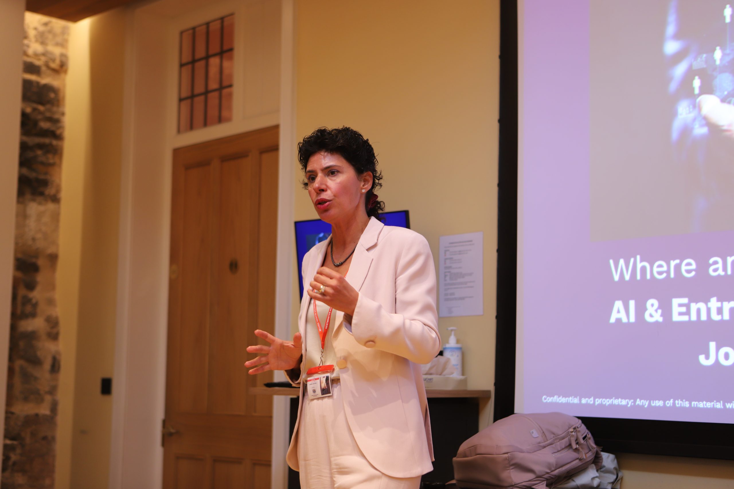 Didem explaining